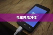 电车充电习惯对电池寿命的影响，隔天充电是否可行？