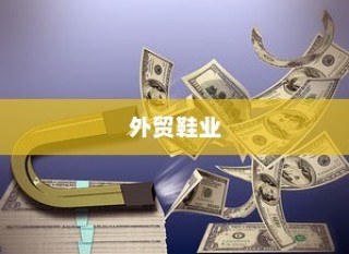深度解析，外贸鞋业的质量标准与品质挑战探讨