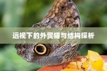 南宁电车牌照申请全攻略，材料、流程详解