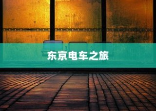 公司电车电池选型探讨，决策要素与依据分析