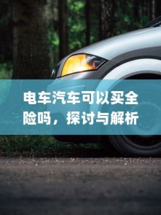 电车汽车全险探讨与解析