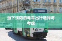 沈阳电车出行选择与考量
