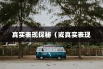 电动车停车状态续航性能深度解析，真实表现探秘与评估
