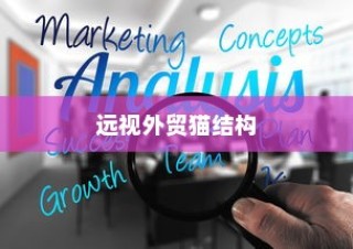 远视外贸猫结构，深度探索、战略洞察与分析