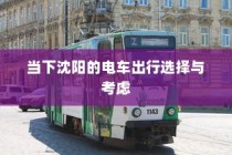 沈阳电车出行选择与考量