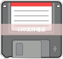 揭秘 LSD，一种神秘的文件格式