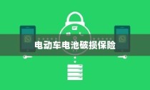 电动车电池破损保险深度解析与应对策略探讨