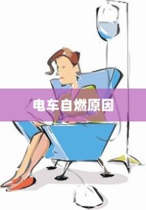 西北大学在辽宁录取情况全面解析