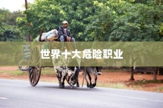 世界十大危险职业与士兵的荣耀，士兵排名首位的原因探究