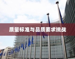 深度解析，外贸鞋业的质量标准与品质挑战探讨