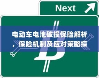 电动车电池破损保险深度解析与应对策略探讨