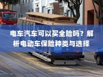 电动车保险全攻略，能否买全险及保险种类解析