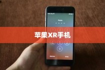 苹果XR手机的功能特性深度解析