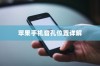 苹果手机音孔位置详解