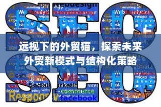 未来外贸新模式与结构化策略的猫视探索