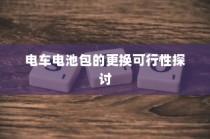斯里兰卡购买电车是否划算，深度解析与建议