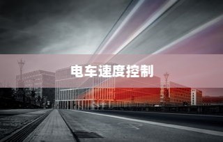 真皮电车坐垫套的通用性与市场探讨