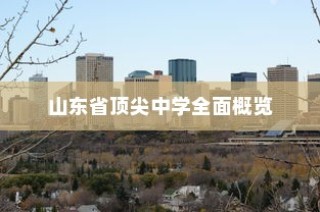 山东省顶尖中学深度解析与概览
