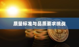 深度解析，外贸鞋业的质量标准与品质挑战探讨