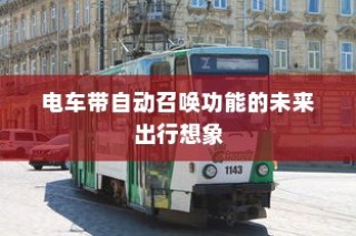 真皮电车坐垫套的通用性与市场探讨