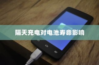 电车充电习惯探究，隔天充电对电池寿命的影响分析