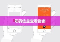 大学录取号码信息查询攻略