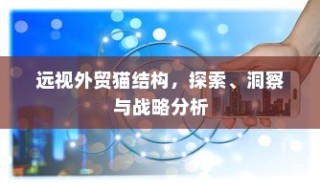 远视外贸猫结构，深度探索、战略洞察与分析