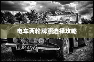 电车两轮牌照选择指南，挑选最佳电车牌照攻略