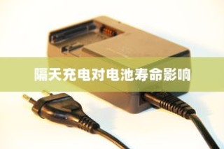电车充电习惯探究，隔天充电对电池寿命的影响分析