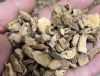 男子煎服山豆根中毒事件引发警示，偏方使用需谨慎