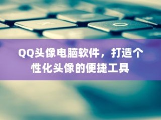 真皮电车坐垫套的通用性及其市场探讨