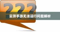 云顶手游无法运行问题详解，原因解析与解决方案探讨