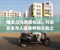 电车过马路需礼让，行车安全与人道精神的交融之道