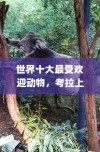 iPhone的微信会中毒吗？全面解析与防范建议