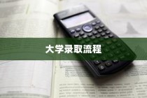 揭秘大学录取流程，高清流程图全面解读