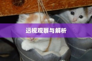 公司用电车电池选择深度解析，各类电池特点比较与探讨