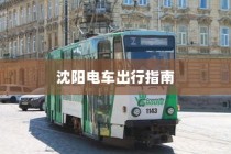沈阳电车出行指南，实时路况分析与建议