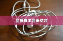 苹果手机的耳机，品质与技术的完美结合
