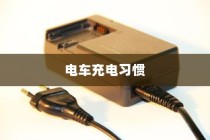 电车充电习惯与电池寿命探讨，隔天充电是否可行？