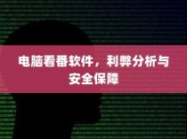 电脑看番软件的利弊分析与安全保障探讨