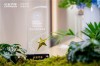长安汽车荣获上海车展智能创新科技展台奖，卓越创新力展现智能标杆风采