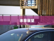 电车为何没有备胎，深度探究原因及未来发展趋势