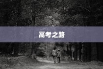 高考路上的坚韧探索，刻苦拼搏铸就辉煌之旅
