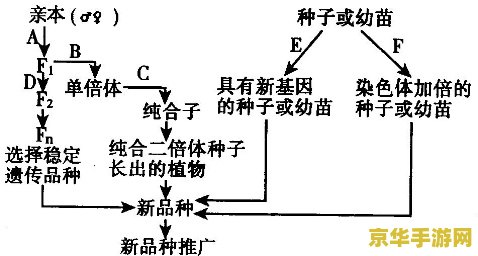 杂交水稻原理