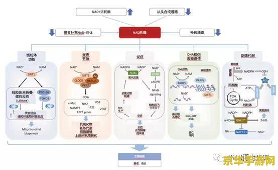 【peach的复数形式】——游戏中的奇妙变化