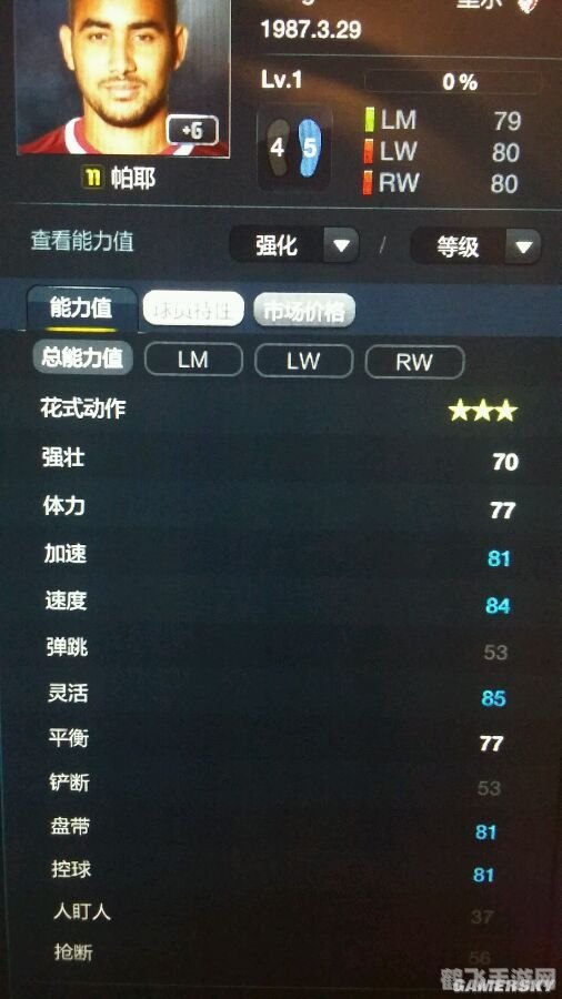 FIFA13妖人探秘，打造你的足球梦之队