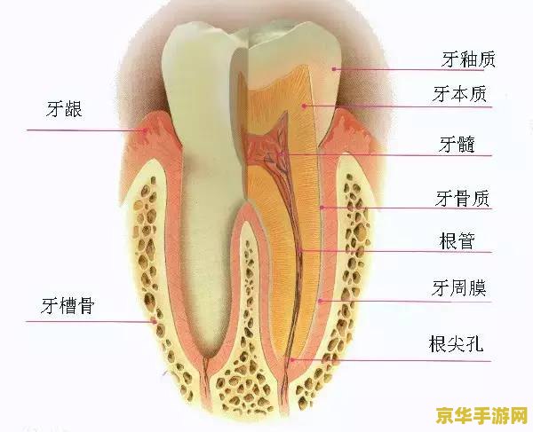 原神奇异的牙齿第三个屏障 原神攻略：解锁奇异的牙齿第三个屏障