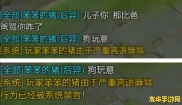 王者荣耀对方骂人不怎么申诉 王者荣耀中遭遇辱骂，如何有效申诉？