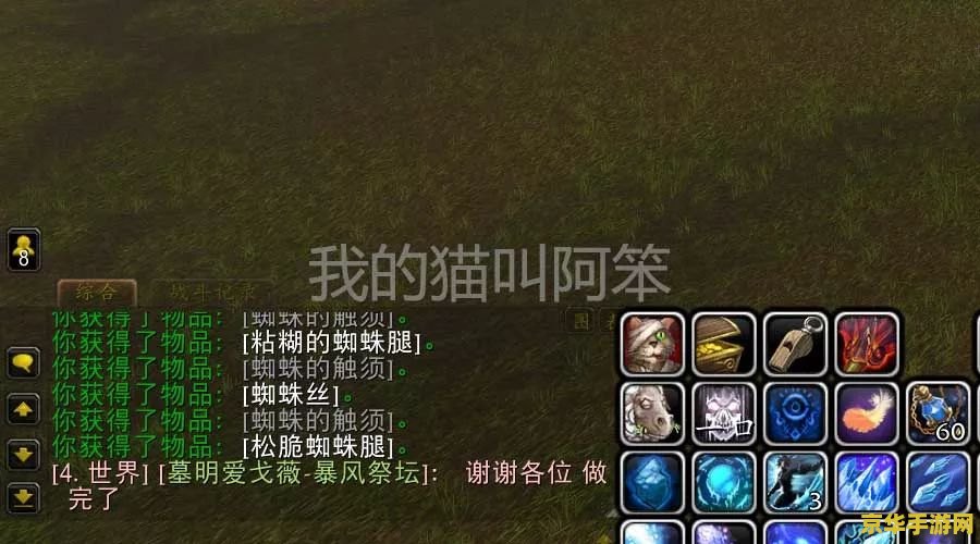 魔兽世界幻化大全 魔兽世界幻化大全：解锁无限可能的角色外观