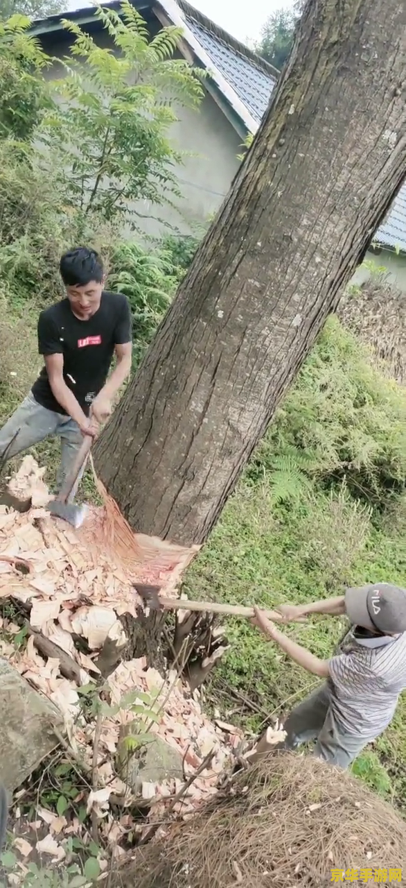 原神砍树砍几下 原神砍树技巧：精准掌握砍伐次数，高效收集木材资源